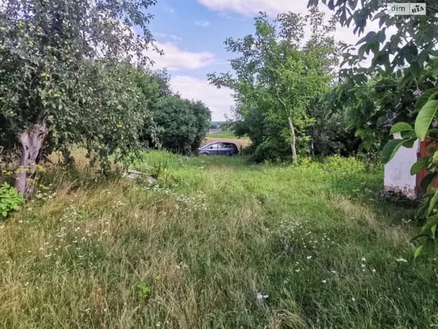 Дача, Васьківці: 34 сотки, сад, централізоване опалення