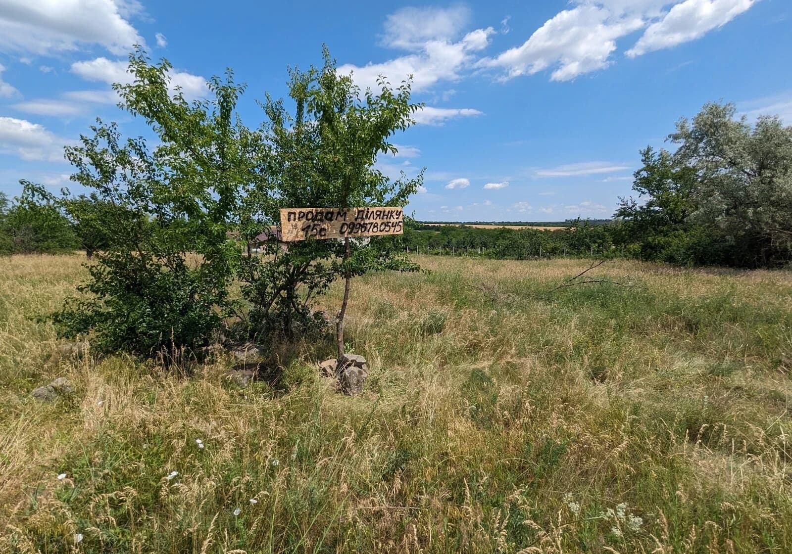 Ділянка 15 соток, Сонячне: під житлову забудову, чорнозем - фото 5