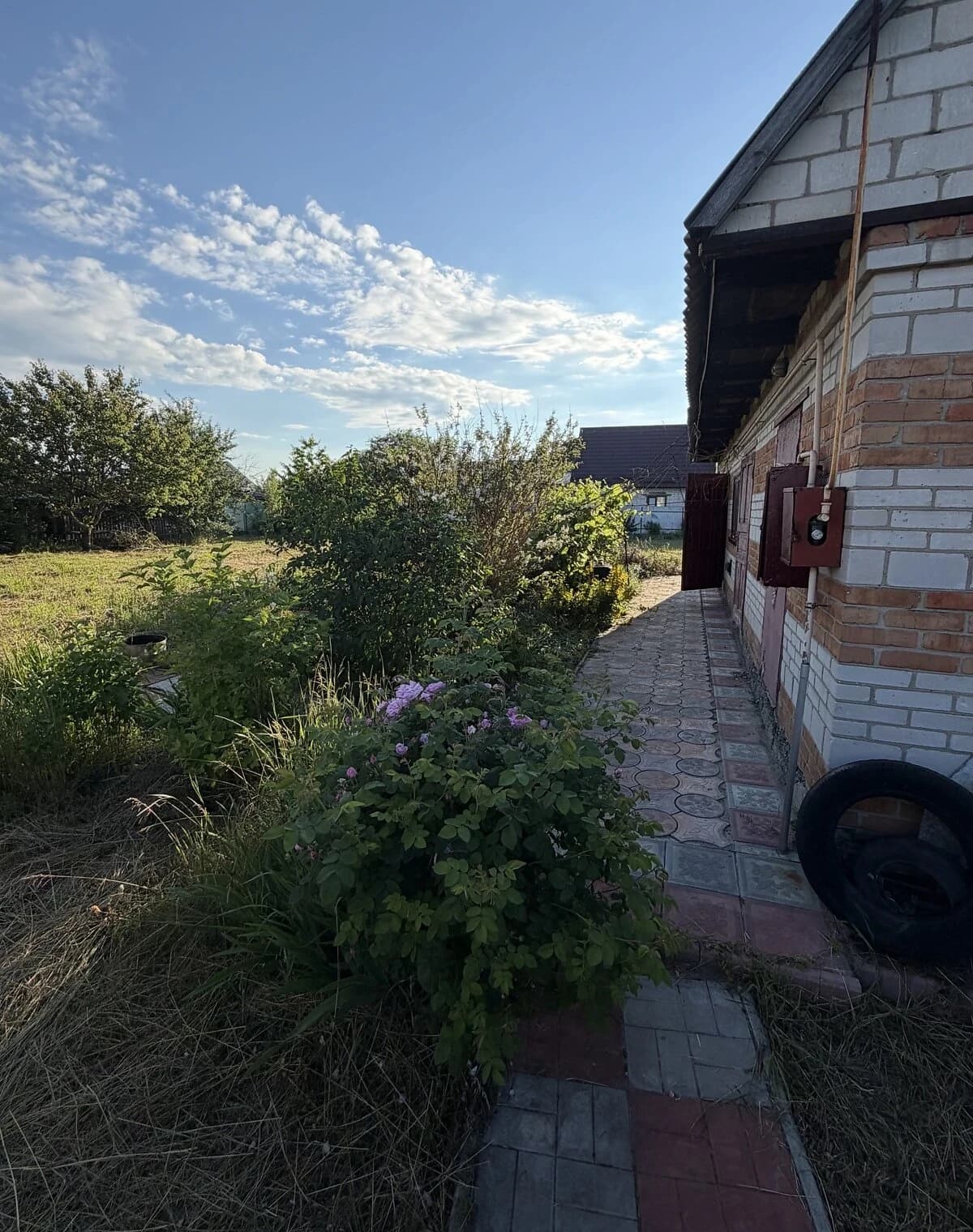 Дача, Баришівка: газове й пічне опалення, 12 соток - фото 3