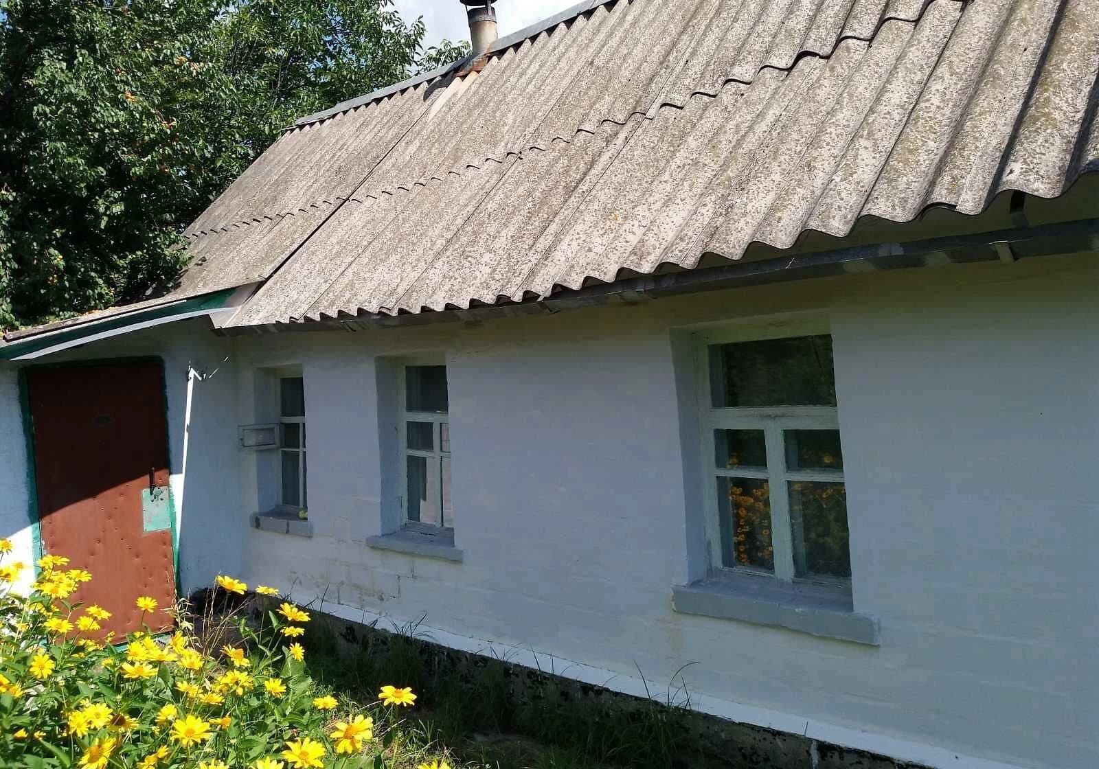 Дача, Ірдинь: гараж, 12 соток, твердопаливний котел - фото 3