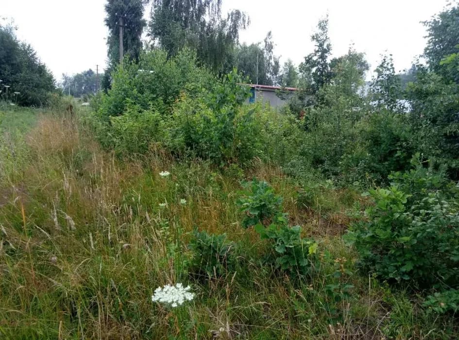 Ділянка 12 соток, Дениші: річка Тетерев, під будівництво - фото 3