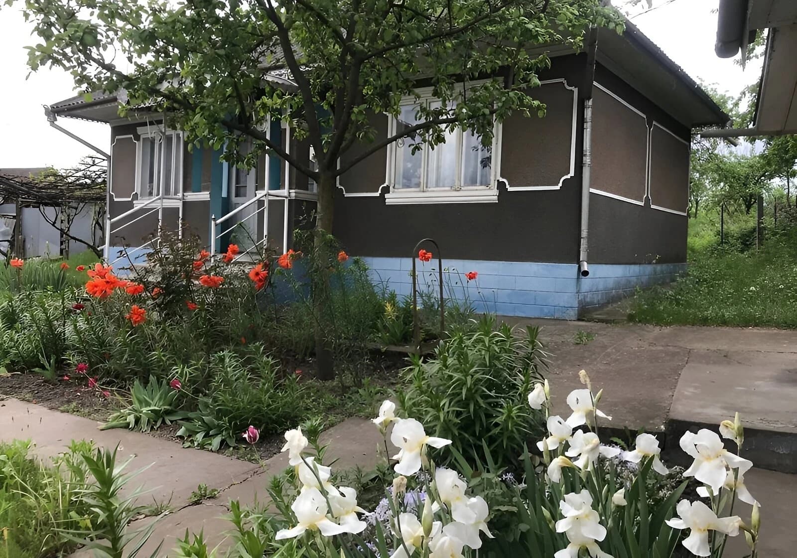 Будинок, Клішківці: опалення, 1 гектар, торг можливий - фото 2
