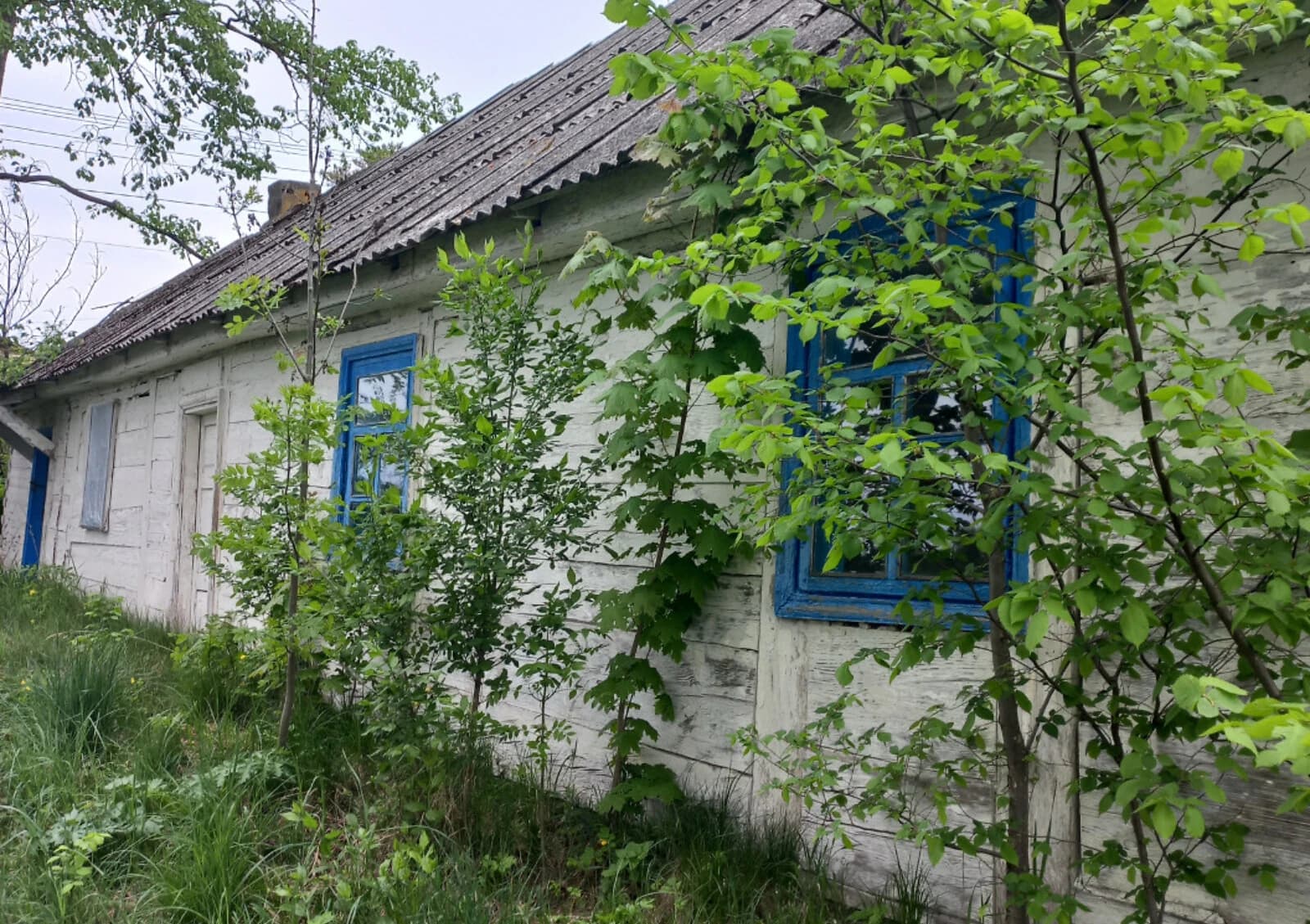 Офіс, Кропивня: кабінетне планування, окрема будівля, торг можливий - фото 4