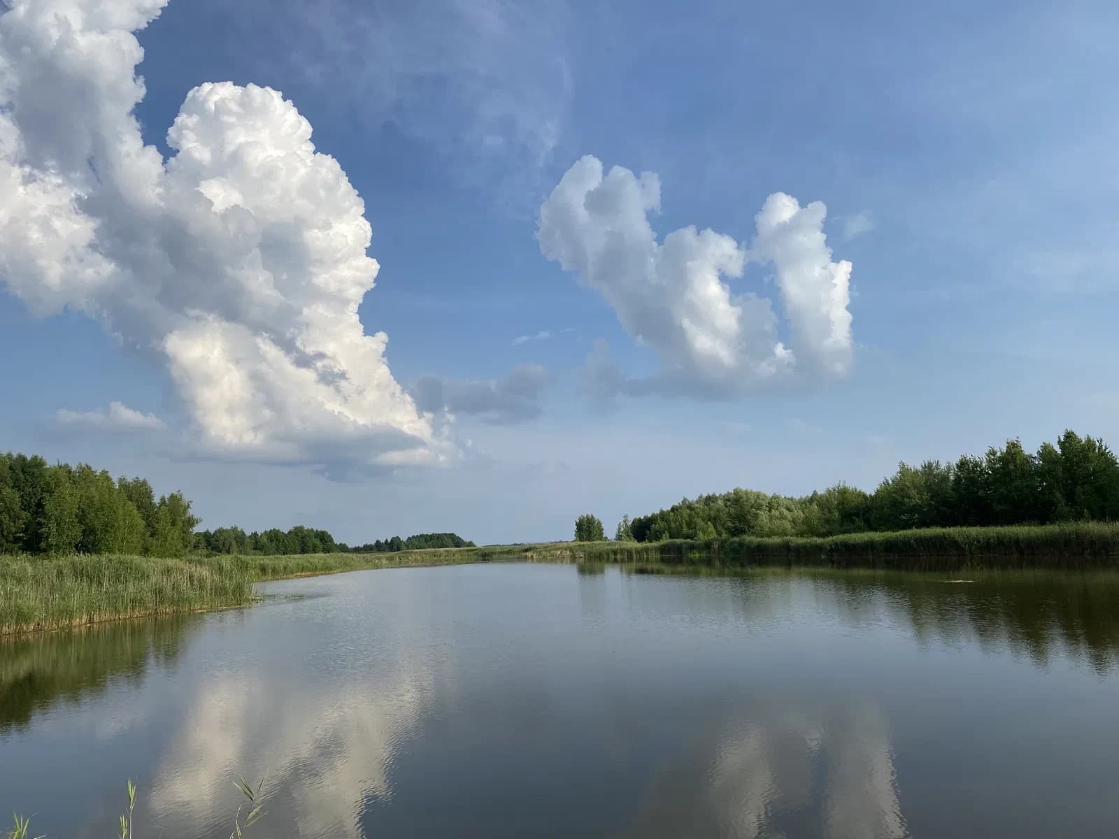 Ділянка 10 соток, Кийлів: вихід на Дніпро, електроенергія 20 кВт - фото 1