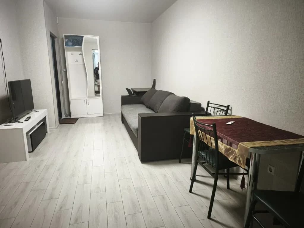 Студія, Кременчук: авторський ремонт, можна з тваринами - фото 2