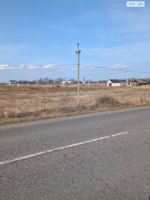 Ділянка 15 соток, Гоголів: під житлову забудову, електрика - фото 2
