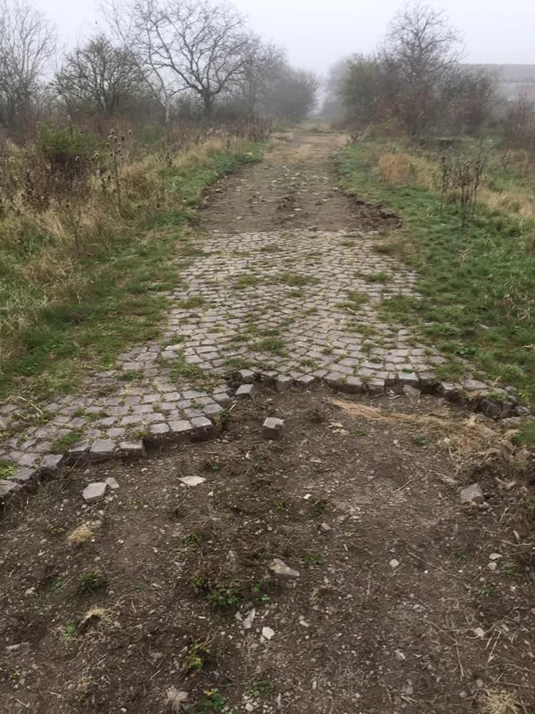 Ділянка 950 соток, Червеньово: асфальтована дорога, газ і світло 100 м - фото 3