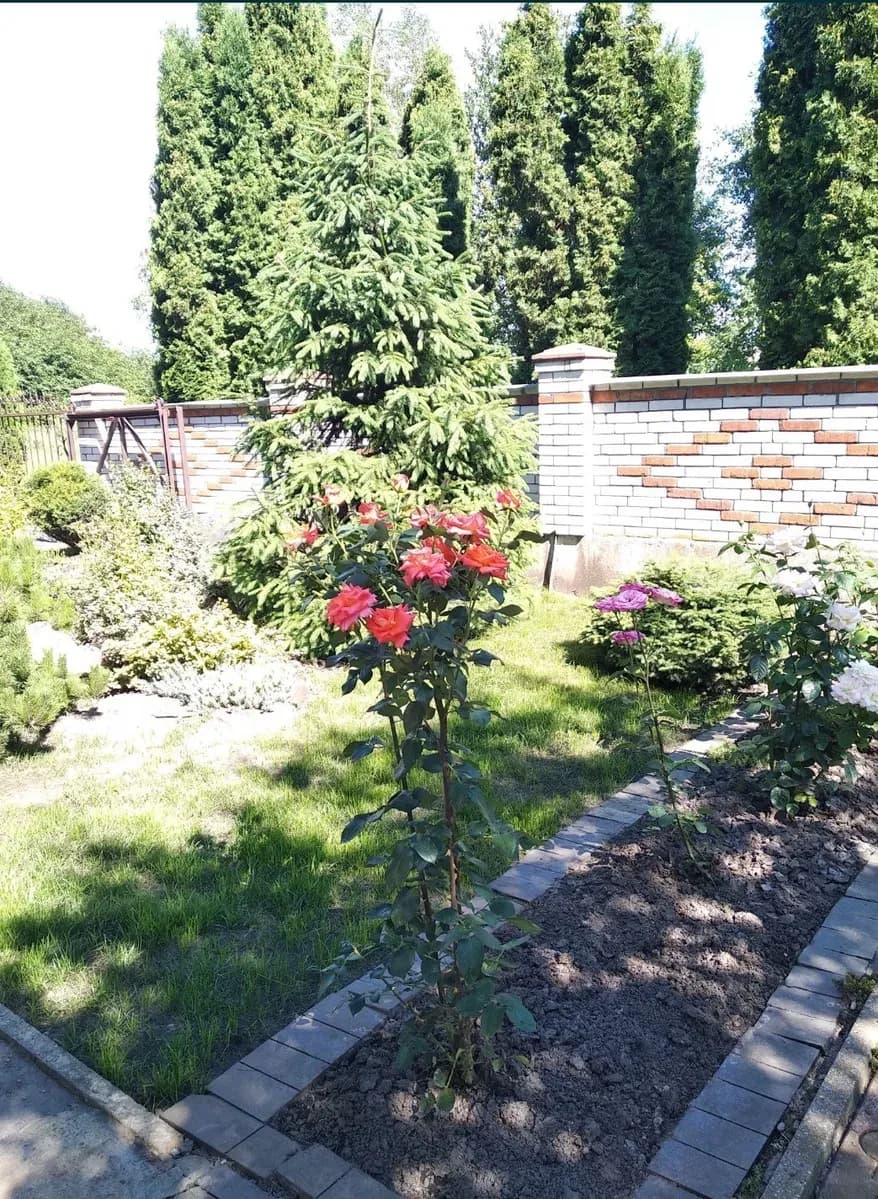 Будинок, Яготин: євроремонт, 2 гаражі, родючий сад - фото 5