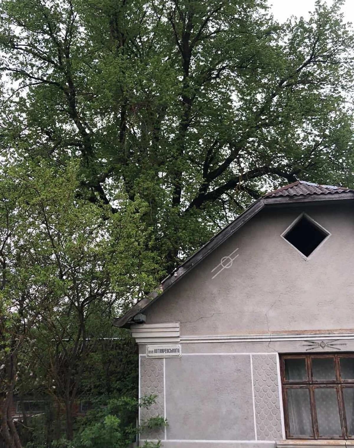 Ділянка 22 соток, Підгородне: під житлову забудову, під гараж - фото 3