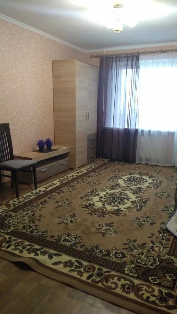 1-кімнатна квартира, Амур-Нижньодніпровський: вид на місто - фото 1