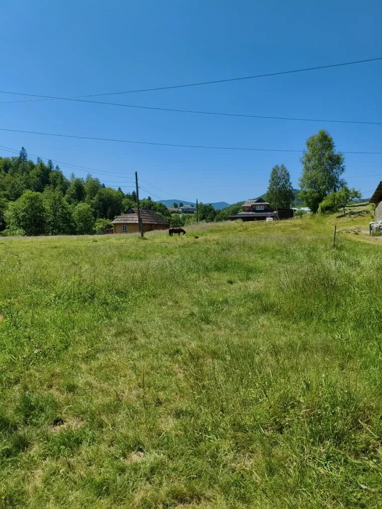 Ділянка 40 соток, Космач: річка, гори, ліс