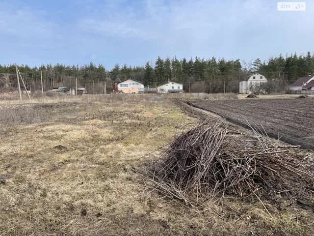 Дача, Звенигородка: газове опалення, 23 сотки - фото 4