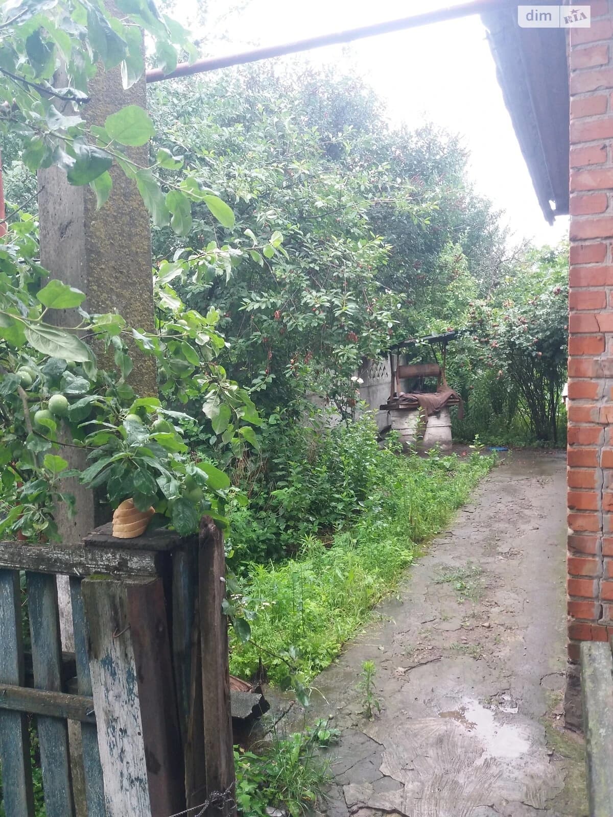 Будинок, Павлиш: ділянка, сарай, торг можливий - фото 3