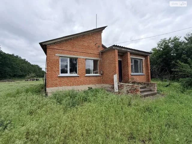 Будинок, Нові Мартиновичі: гараж із підвалом, 53 сотки, торг можливий - фото 2