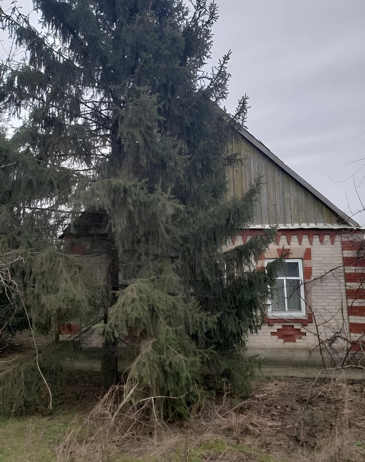 Будинок, Мар’ївка: ділянка 30 соток, гараж із підвалом - фото 2