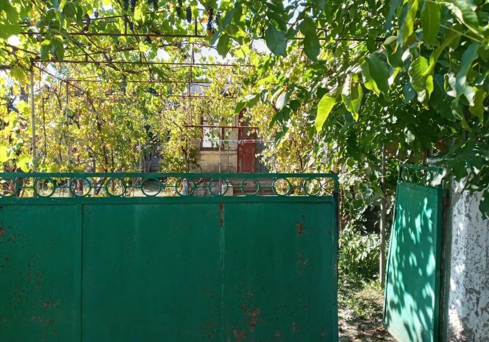 Будинок, Доманівка: господарські будівлі, сад