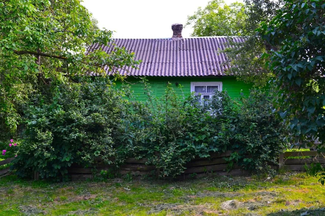 Будинок, Локачі: житловий стан, господарські будівлі, льох - фото 2