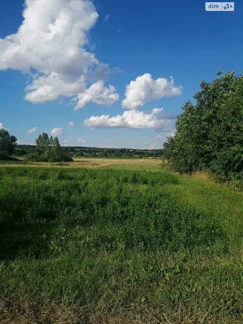 Ділянка 25 соток, Літин: під житлову забудову, під гараж - фото 2