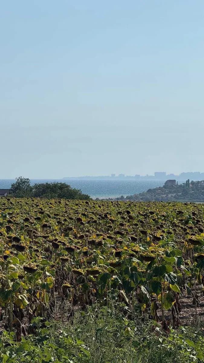 Ділянка 5 соток, Нова Дофінівка: водопровід, асфальтована дорога - фото 5