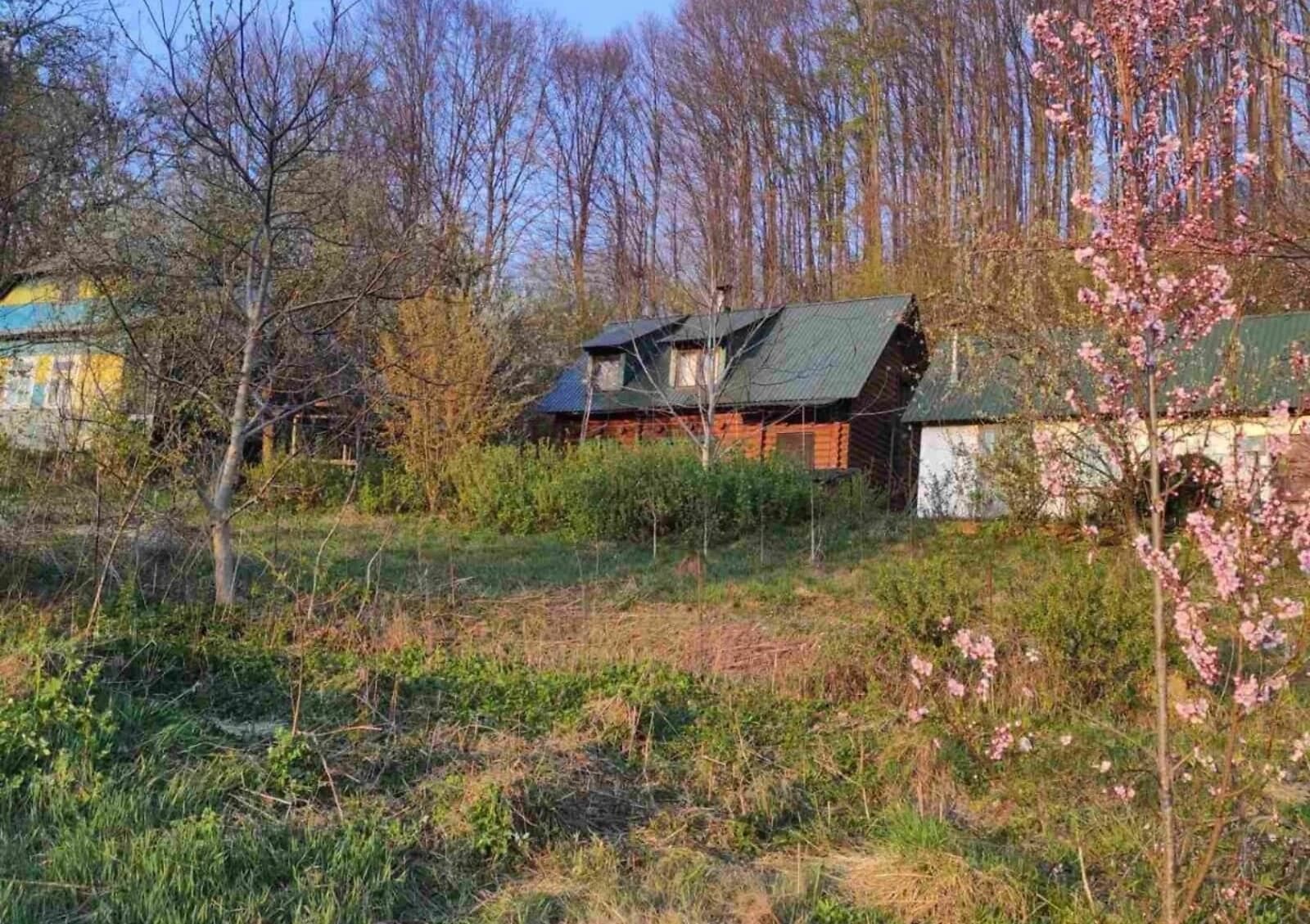 Будинок, Липецька Поляна: ділянка 1.5 га, бесідка, камін