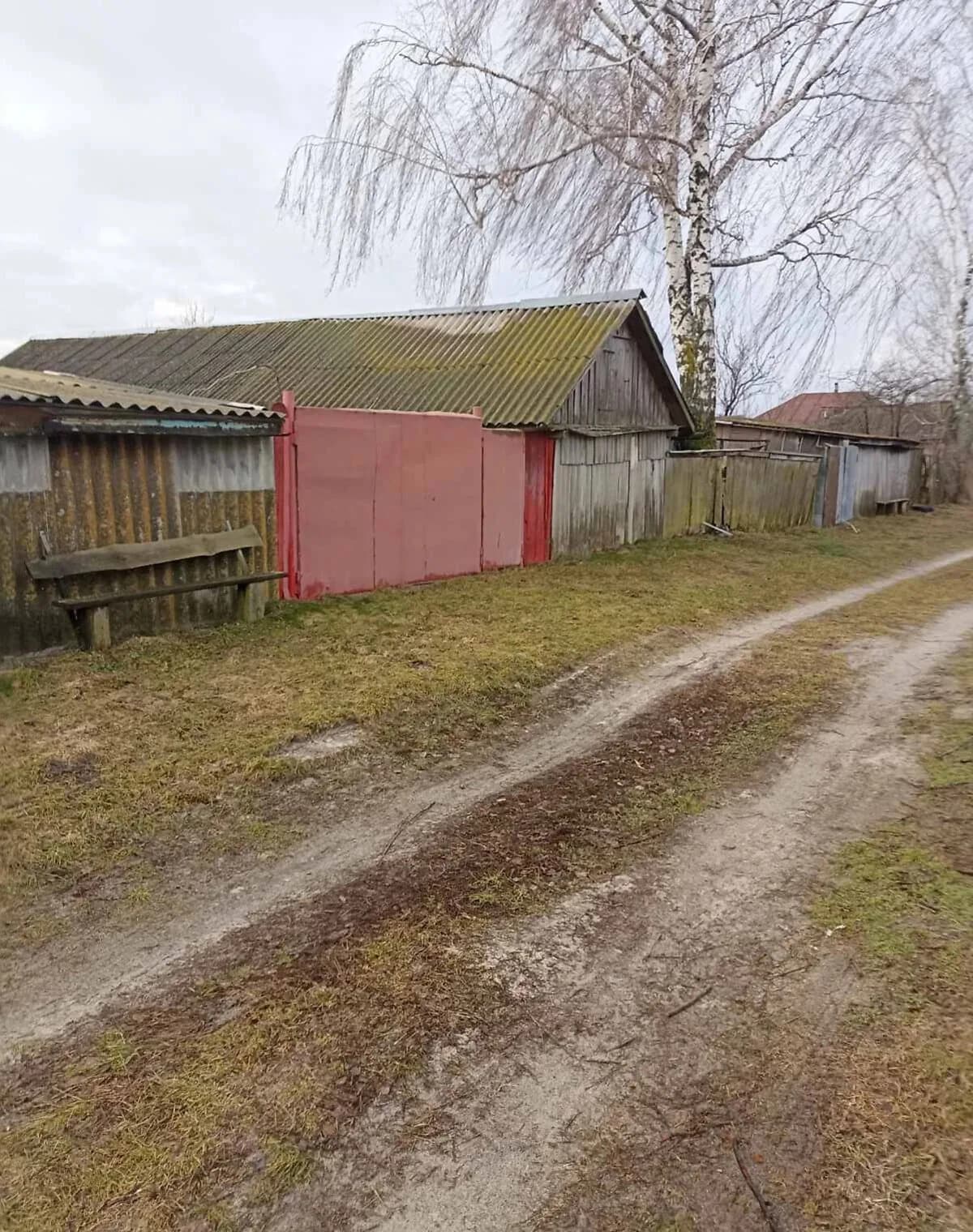 Будинок, Носівка: цегляні стіни - фото 2