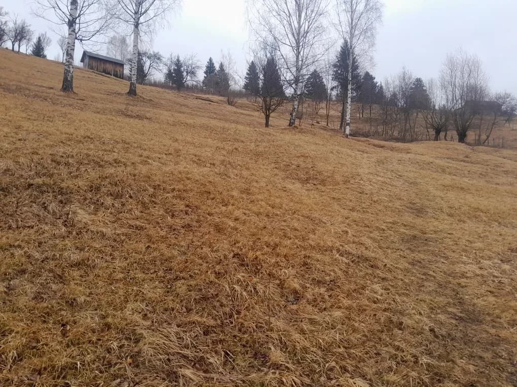 Ділянка 85 соток, Верхній Ясенів: будинок, під забудову, гори - фото 2