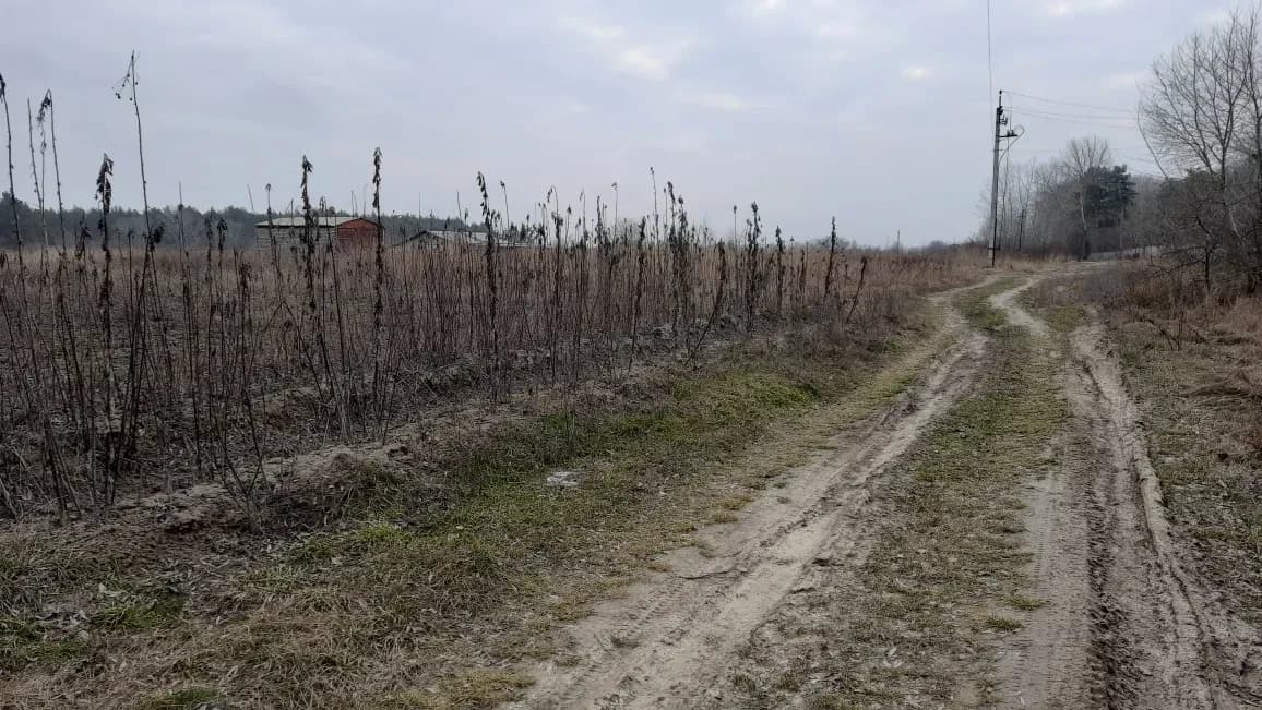 Ділянка 10 соток, Кийлів: затока Дніпра 20 м, ліс 100 м - фото 1