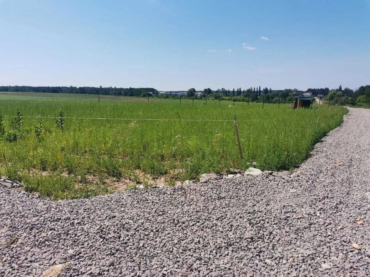 Ділянка 5,4 соток, Білогородка: під забудову, електрика - фото 4