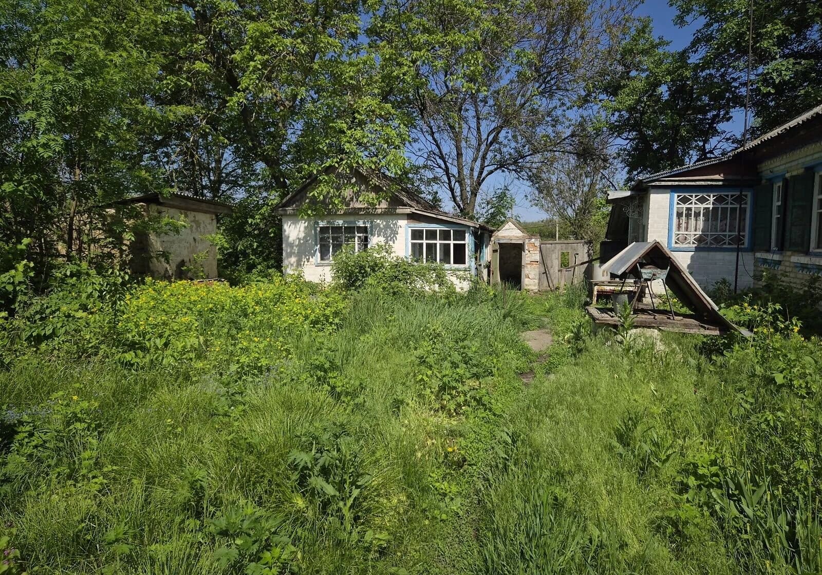 Будинок, Головківка: криниця, літня кухня, господарські будівлі - фото 4