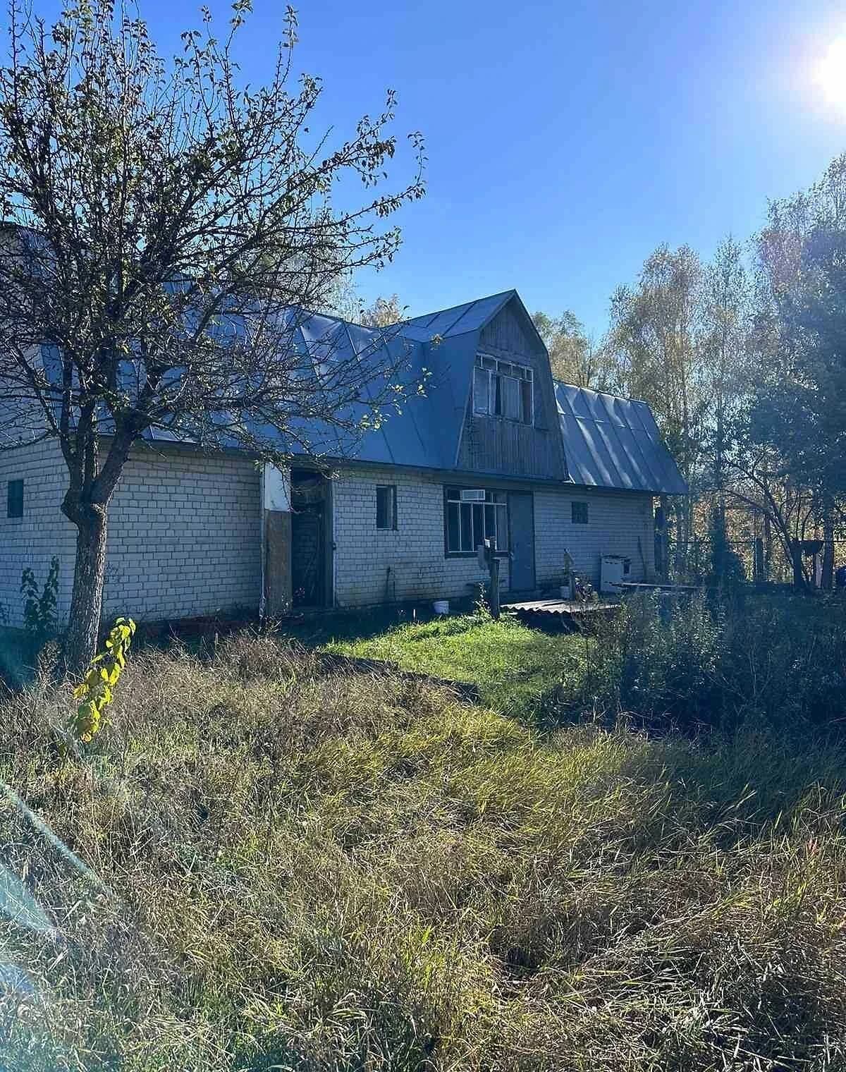 Будинок, Брусилів: гараж, 20 соток, свердловина - фото 2