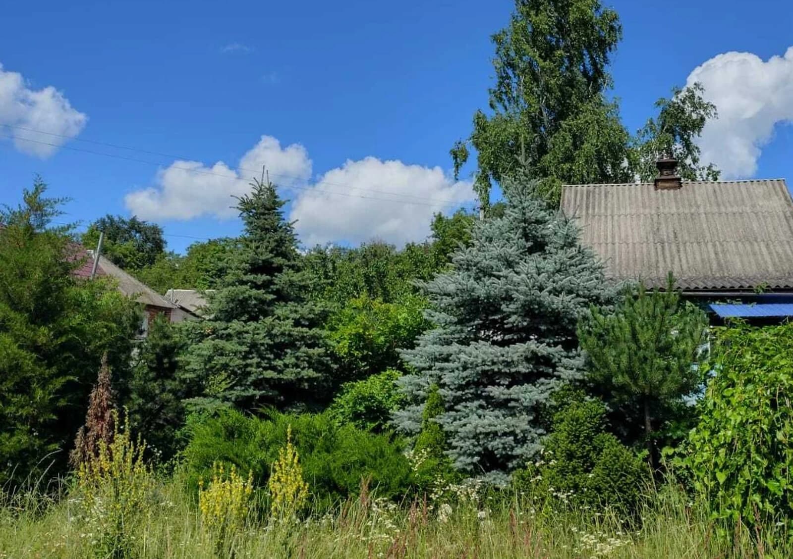 Будинок, Мурафа: бесідка, 56 соток, гараж із підвалом