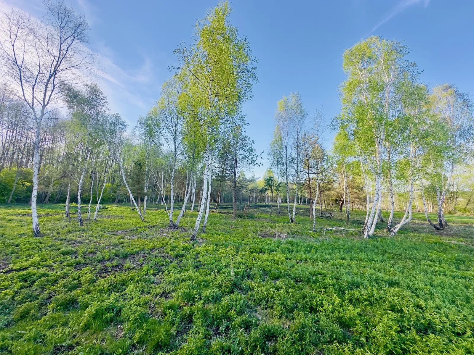 Ділянка 190 соток, Ставки: два озера, річки з двох сторін - фото 3
