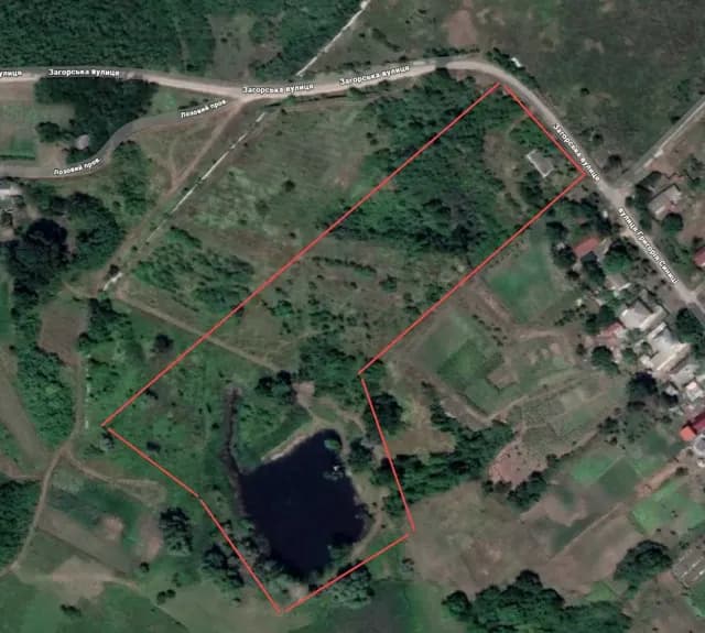 Ділянка 166 соток, Фортечний: природний ставок 50×50 м, електрика 380 В - фото 4