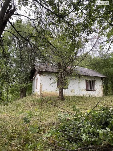 Дача, Грабовець: цегляні стіни, централізоване опалення, сад - фото 2