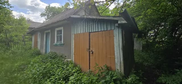 Будинок, Устечко: 25 соток, гараж, господарські будівлі - фото 3