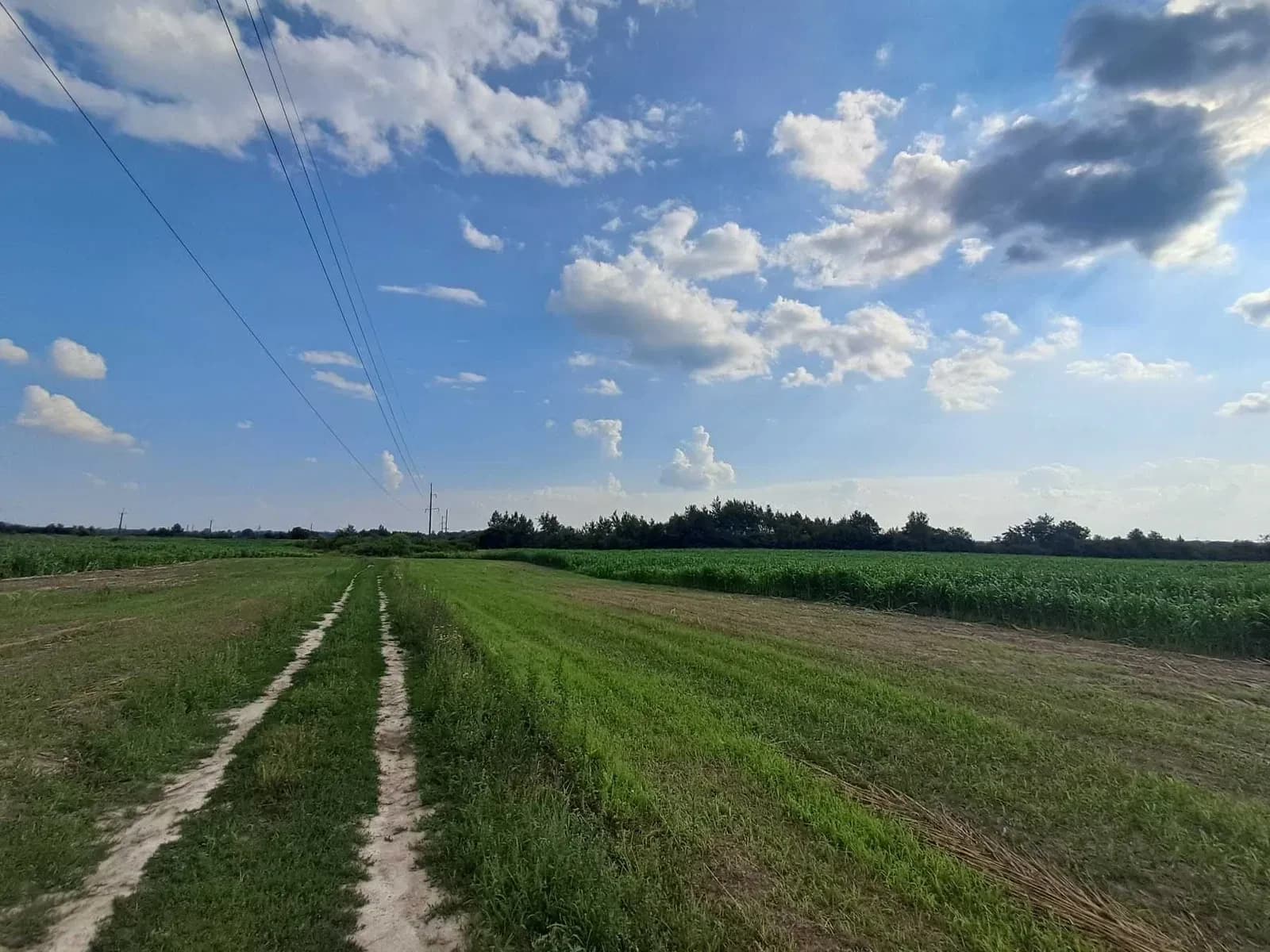 Ділянка 47 соток, Пустомити: оброблена, заїзд для будь-якої техніки - фото 5