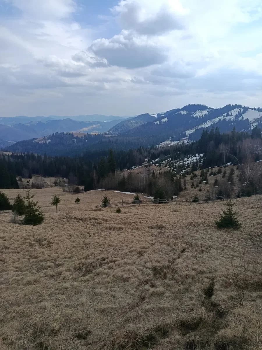Ділянка 25 соток, Стовпні: під забудову, будинок, огорожа - фото 1