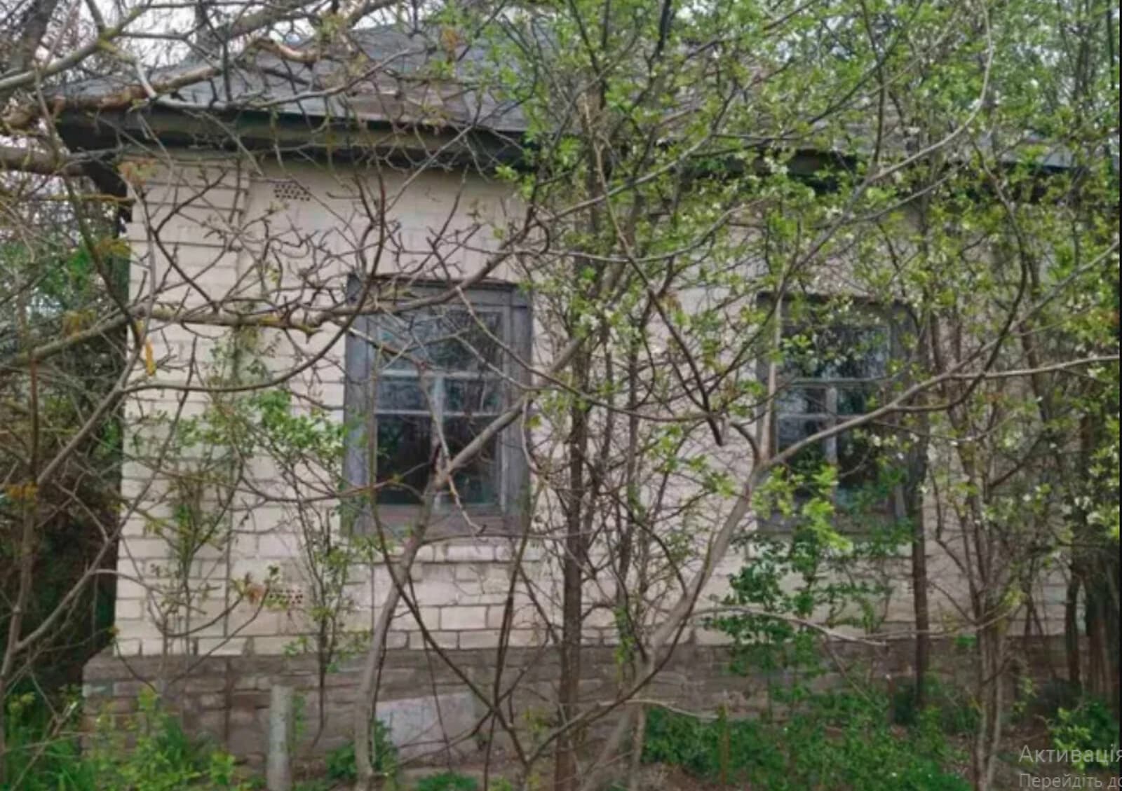 Будинок, Горбачі (Козелець): пічне опалення, 24 сотки, гараж із підвалом