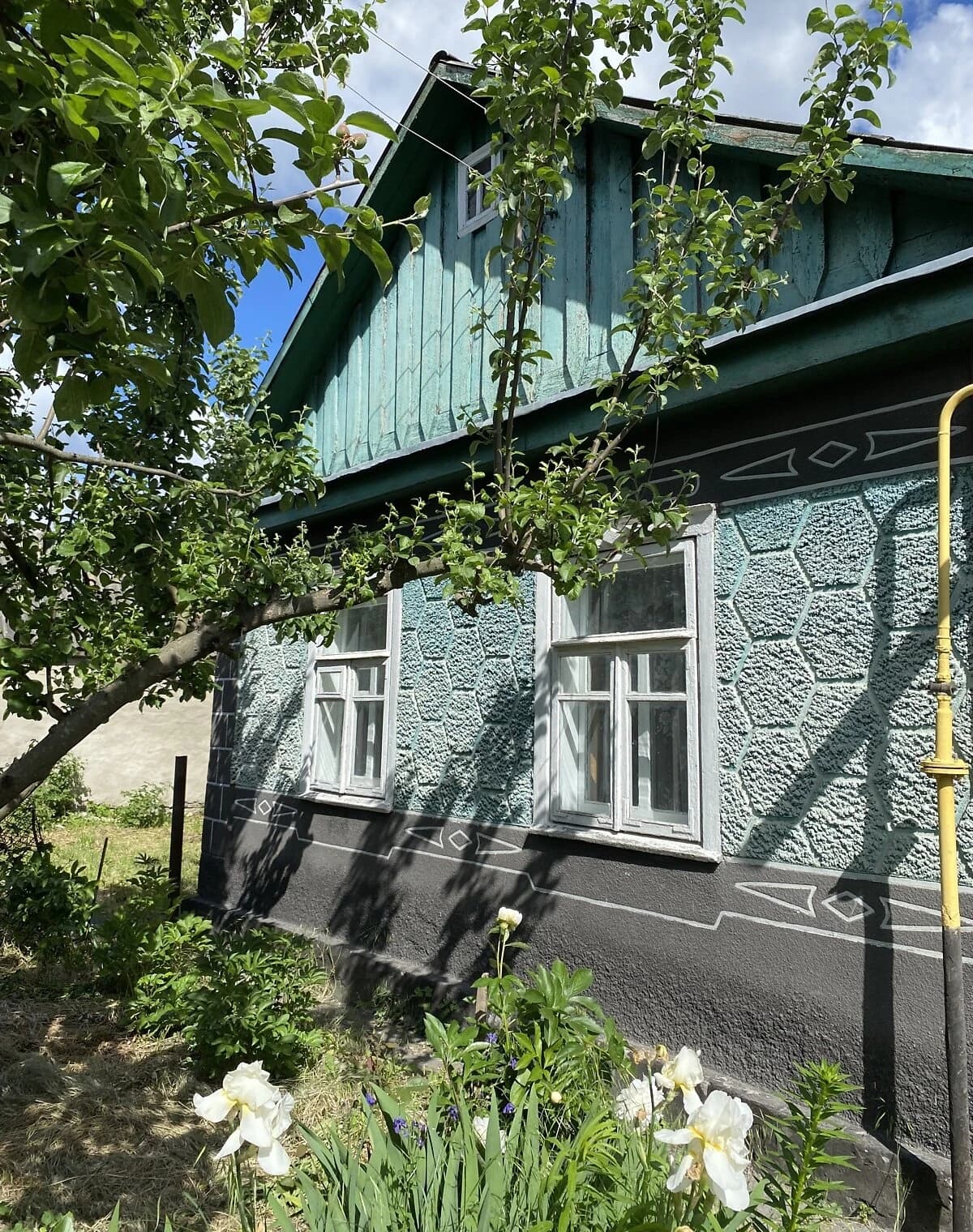 Будинок, Звягель: 7 соток, літня кухня, город - фото 1