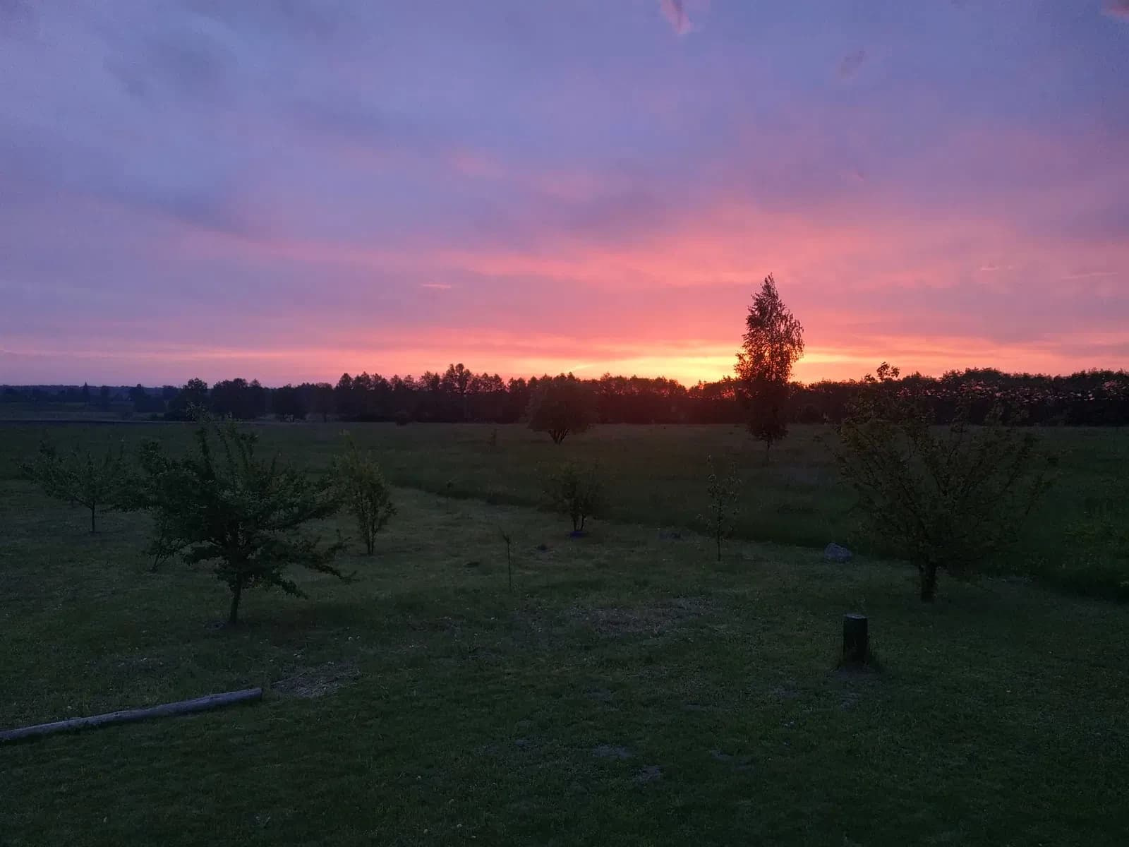 Будинок, Бовкун: басейн, резервне живлення, сад - фото 2
