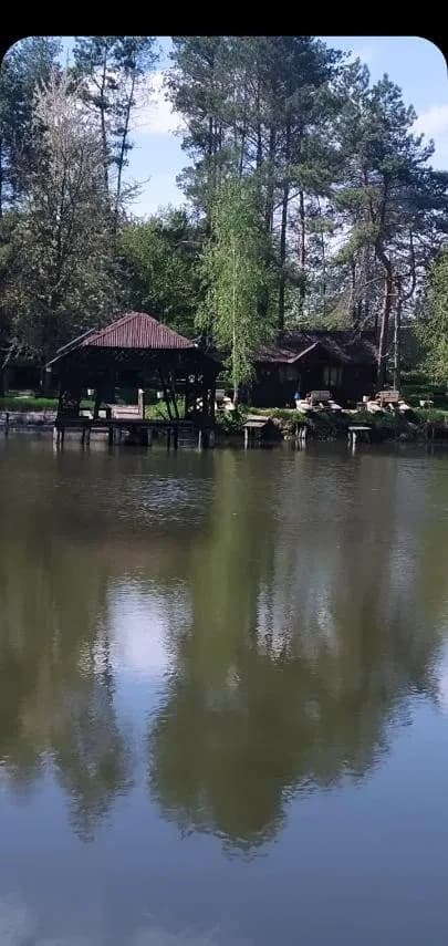 Фермерське господарство, Гуменне: зона відпочинку, 7 га лісу