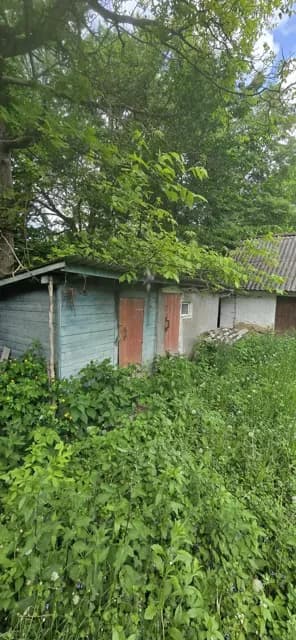 Будинок, Устечко: 25 соток, гараж, господарські будівлі - фото 4