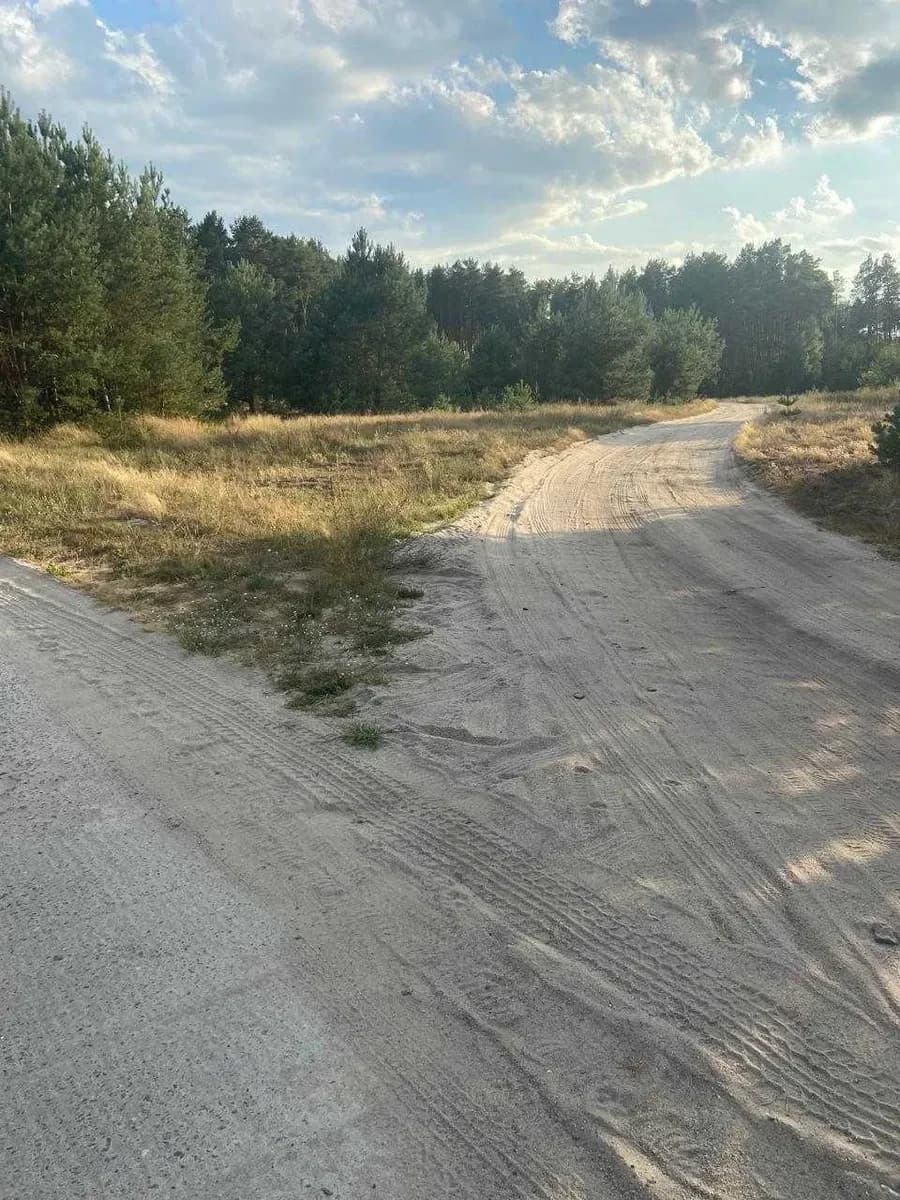 Ділянка 35 соток, Стригани: каскад озер, бетонна дорога, газ - фото 3