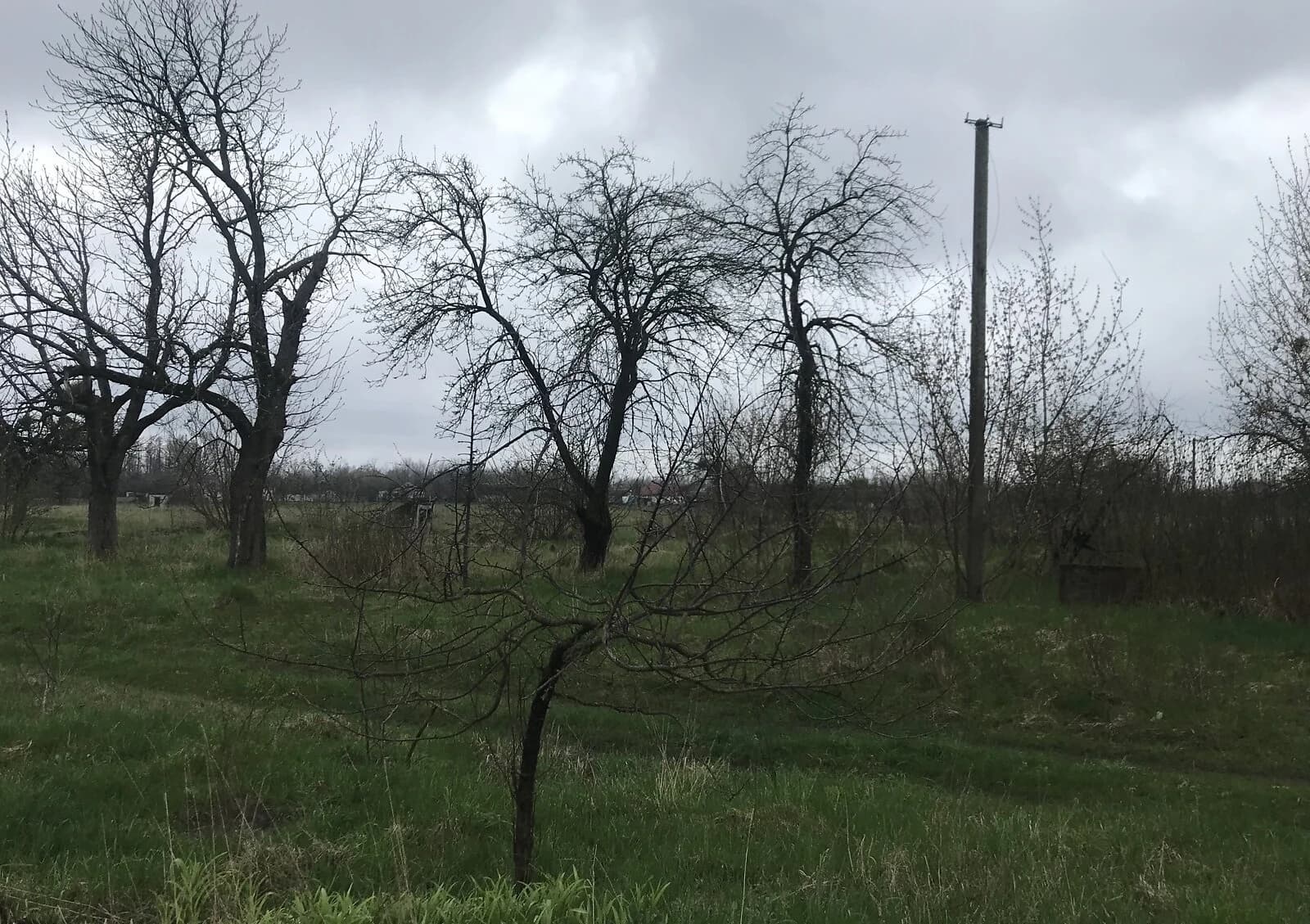 Ділянка 57 соток, Вільшка: житлова забудова, криниця, під гараж - фото 5