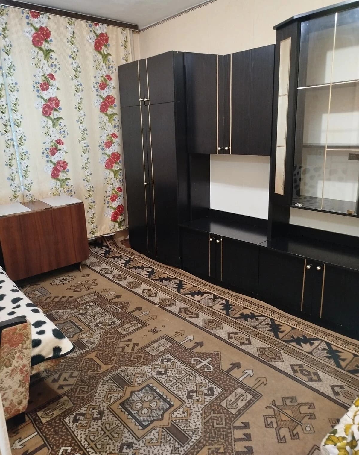 1-кімнатна квартира, Смолянка: цегляні стіни, газова плита - фото 1