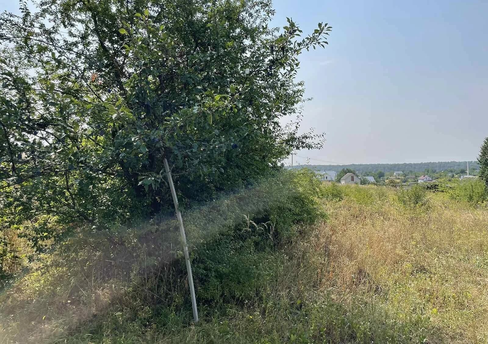 Ділянка 0.0612 гектара, Тернопіль: під житлову забудову, електрика - фото 1