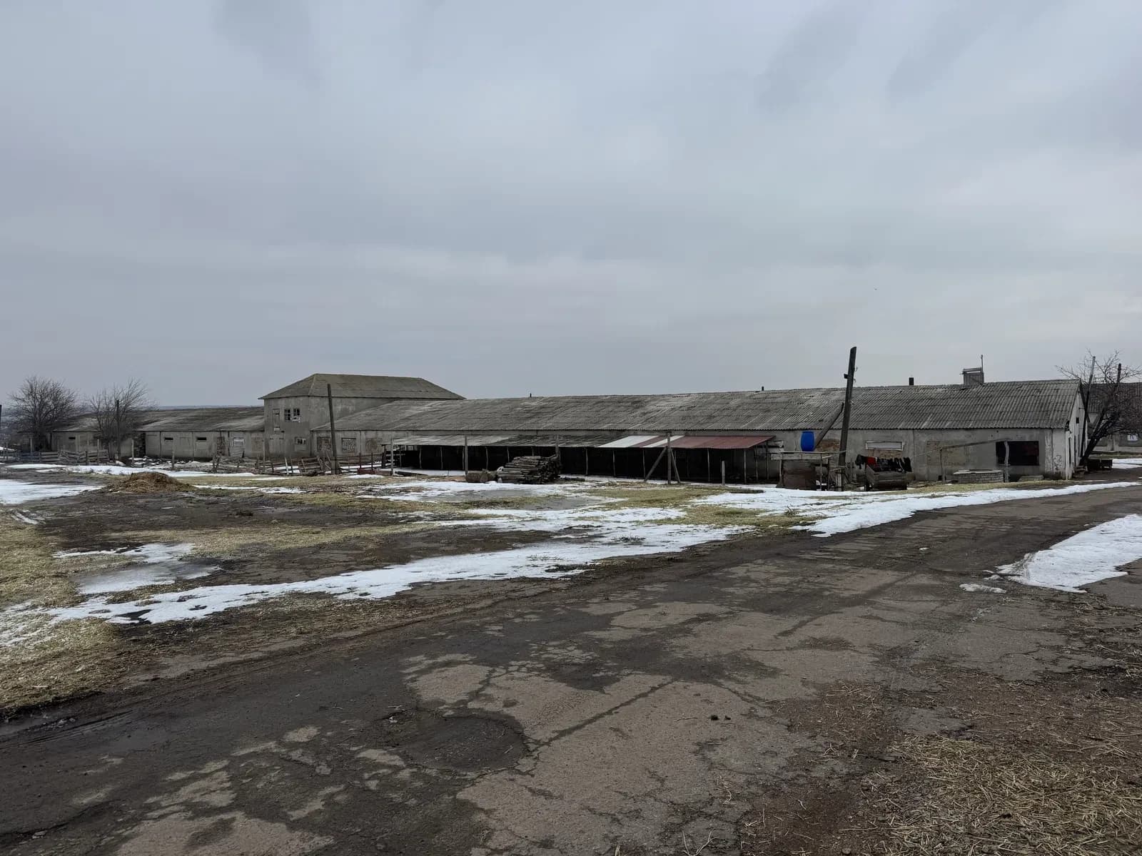 Ферма, Прибужжя: 4,6 га, електрика 380 В, 2 ангари 600 м² - фото 3