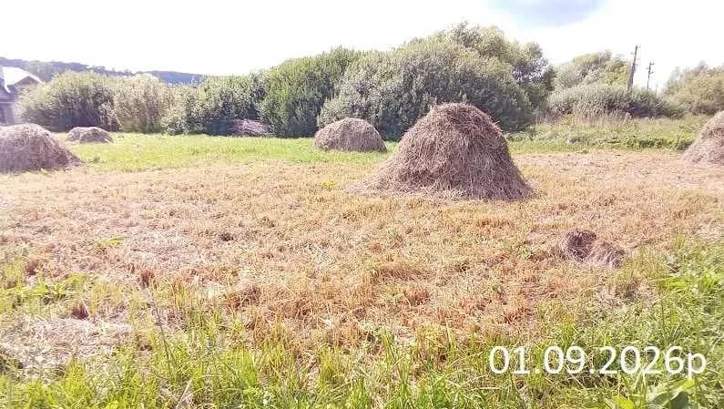 Ділянка 18 соток, Зашків: під забудову, до Львова 14 хв - фото 3