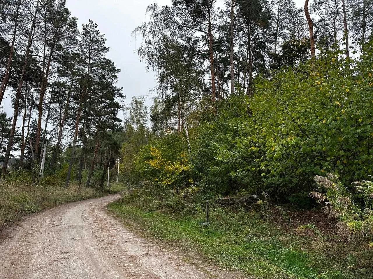 Ділянка 8 соток, Ходосівка: озеро за 100 м, сосновий ліс за 100 м - фото 5