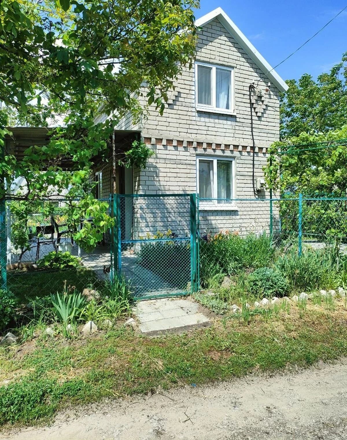 Ділянка 4 сотки, Орільське: свердловина, город, сад і виноградник - фото 4